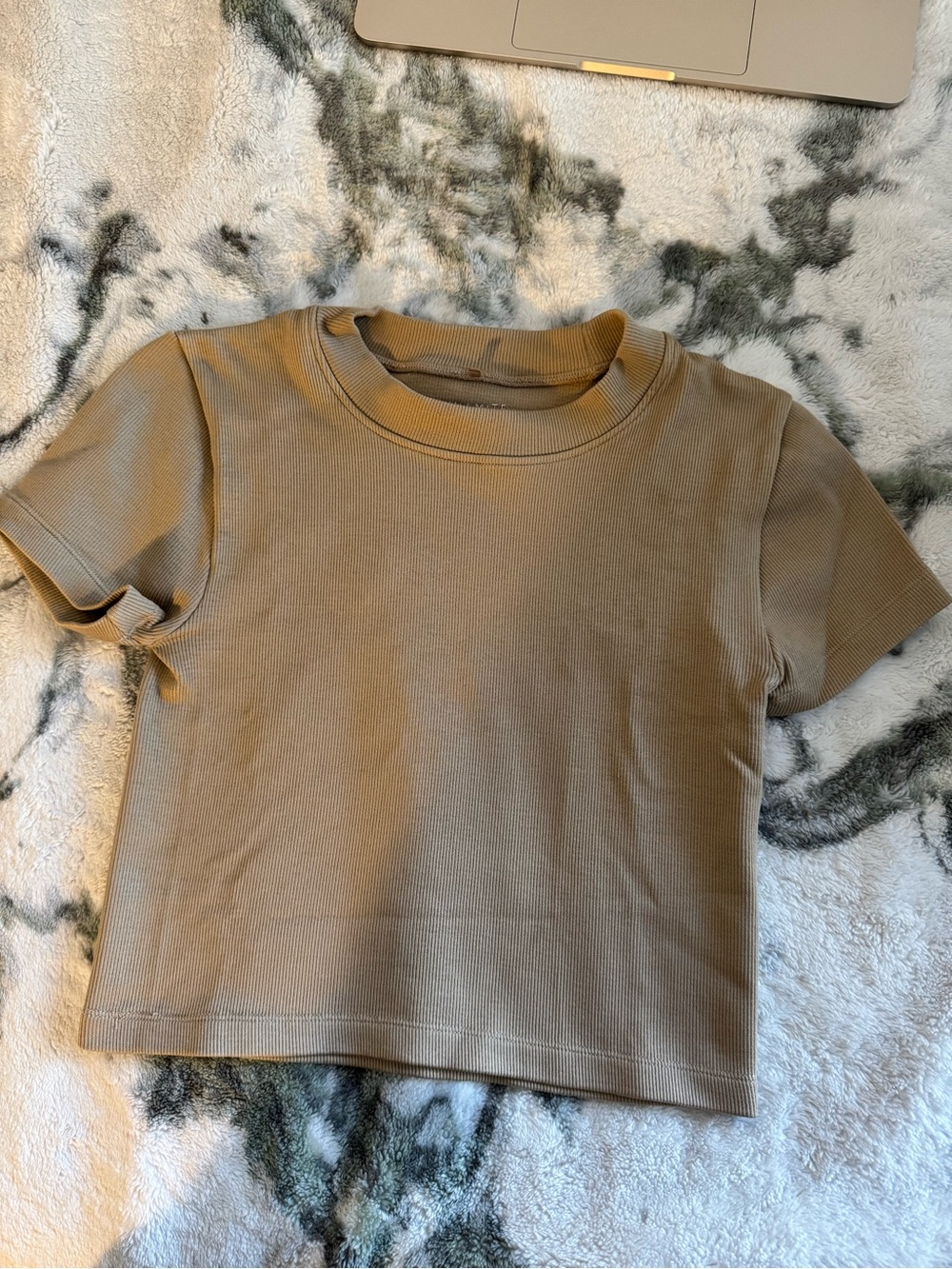 Dynamite Ribbed Crop Tee in Tan